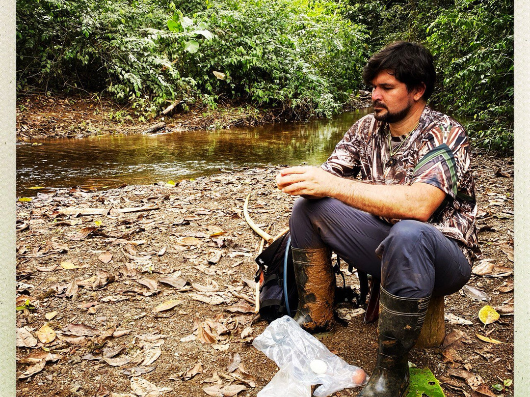 Jaguar Corcovado Tours-希门尼斯港必去景点