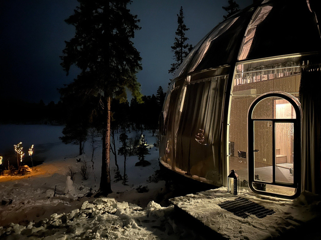 Rypetoppen Adventurepark-Meraker Municipality必去景点