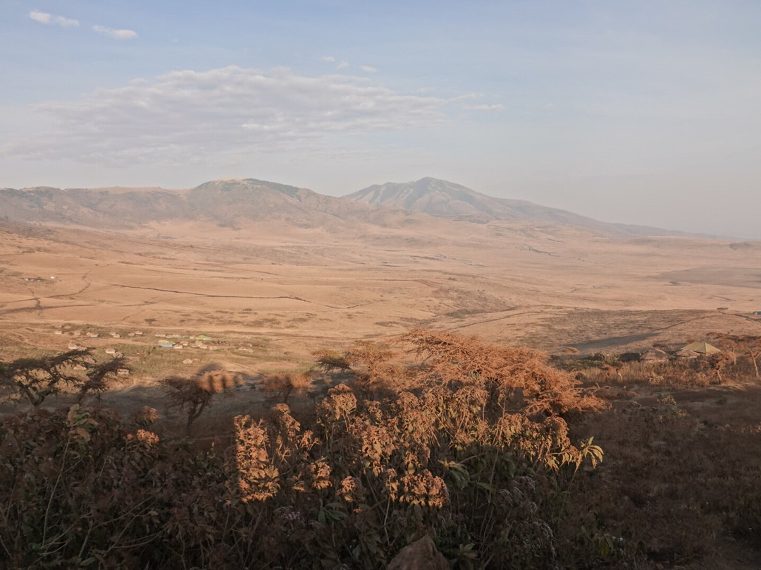 Caracal Tours & Safaris-莫西必去景点