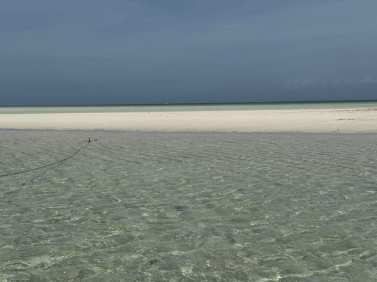 Jambo Life Safari-瓦塔木必去景点