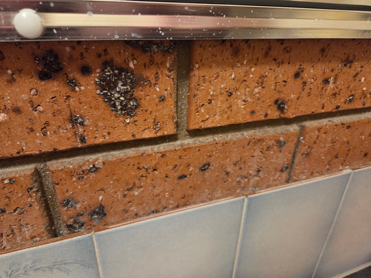 Old Coach Motor Inn主图