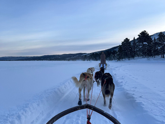 Geilo Husky Day Tours-耶卢必去景点