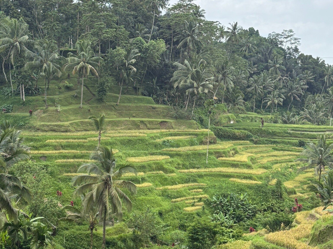 Bali Golden Destination-巴厘岛必去景点