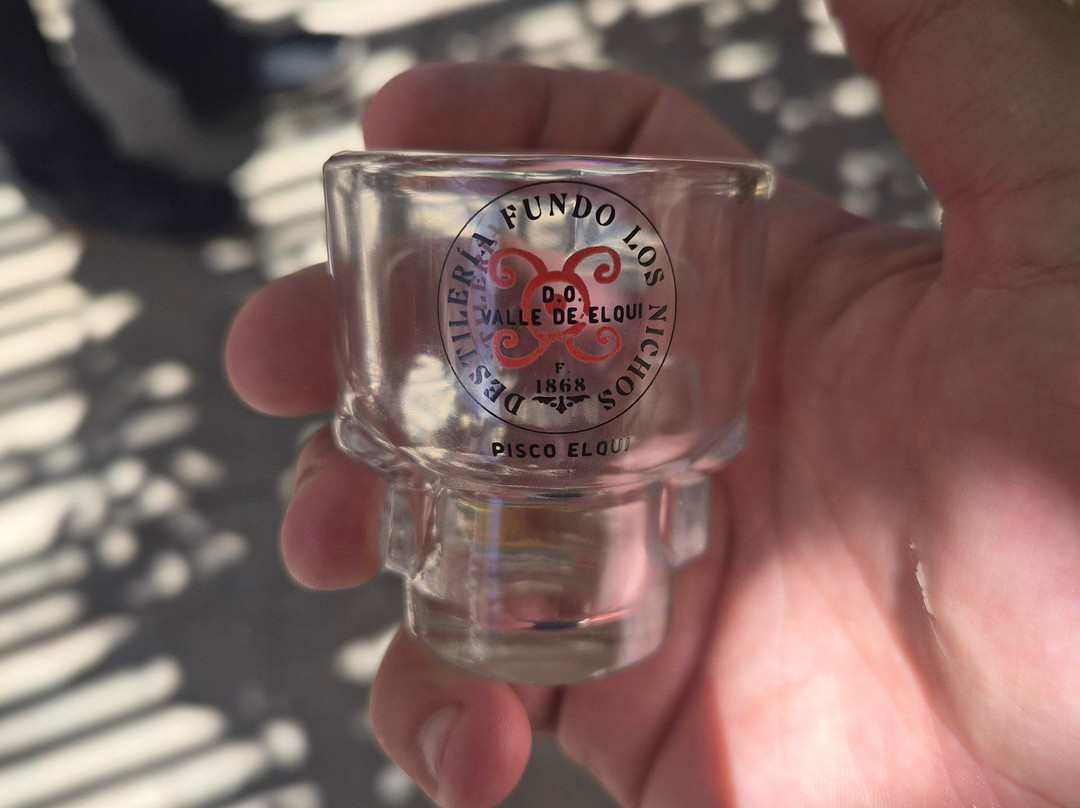 Fundo Los Nichos-Pisco Elqui必去景点