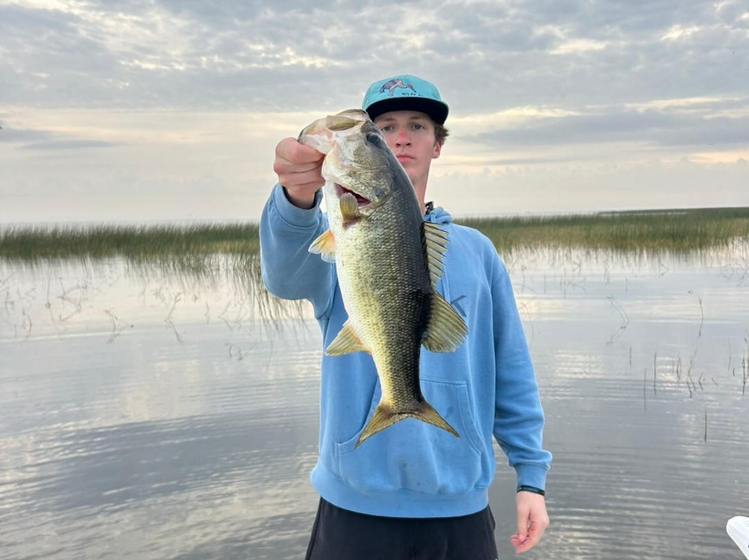 Roland Martin Marina-克莱维斯顿必去景点