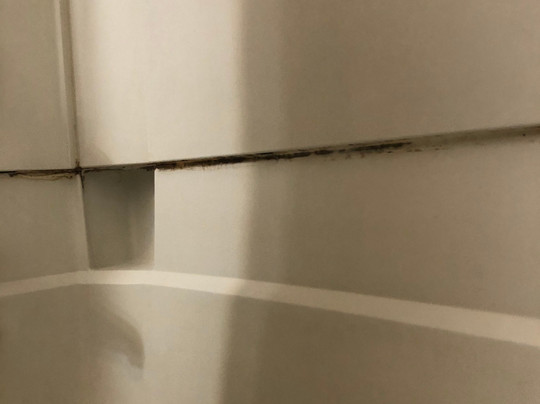 Super 8 by Wyndham Las Cruces/White Sands Area主图