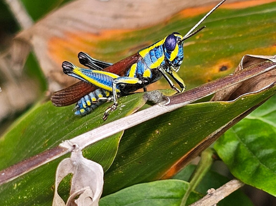 Safari 56 Limited-Dar es Salaam必去景点