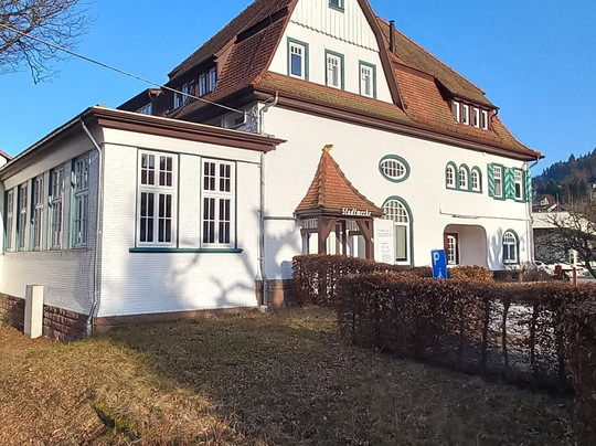 Schweizer Wiese-巴特黑雷纳尔布必去景点