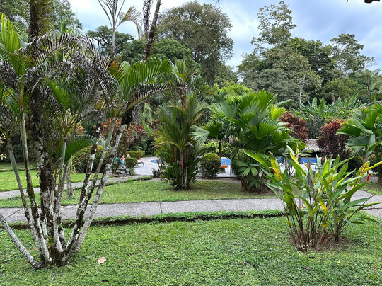 Province of Limon酒店住宿-Suizo Loco Lodge Hotel & Resort