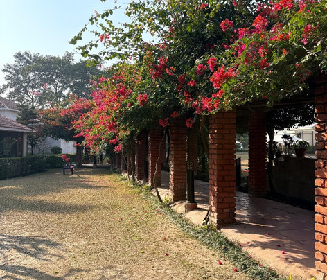 Naturoville Wellness Resort Rishikesh - Surrounded by Nature, Rooted in Wellness主图