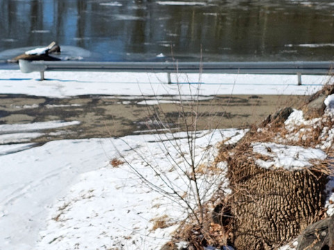 Conowingo Creek Landing-Conowingo必去景点