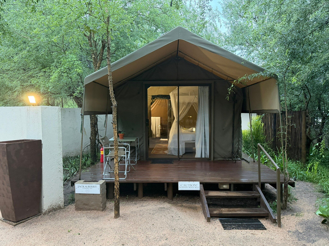 Umkumbe Bush Lodge - Luxury Tented Camp主图