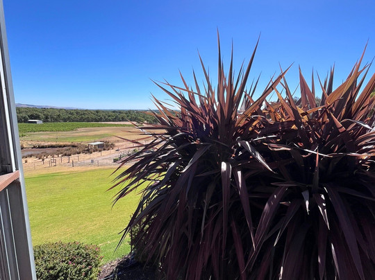 Gemtree Wines-McLaren Flat必去景点