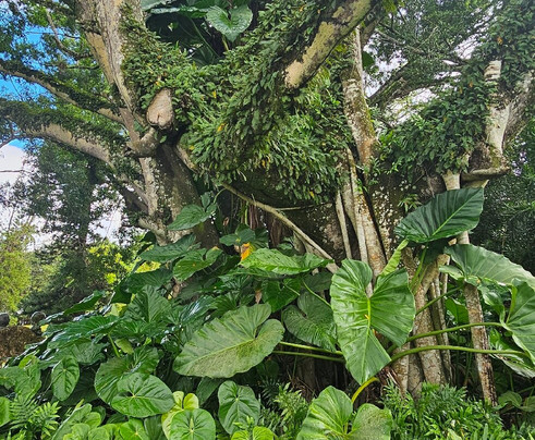 Casa Museo Hermanas Mirabal-Salcedo必去景点