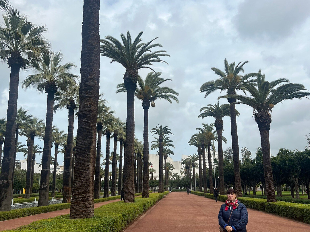 Parc de la Ligue Arabe-卡萨布兰卡必去景点