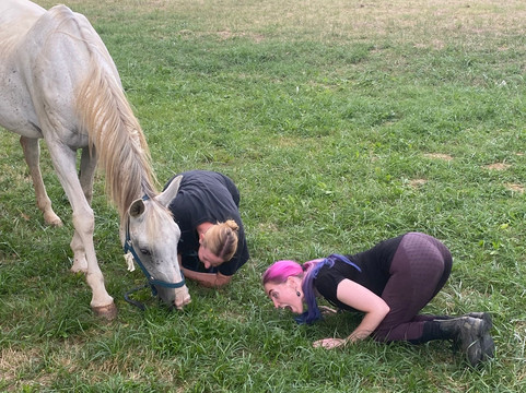 Centre Equestre Du Passe-Temps主图