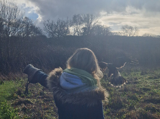 North Devon Hawk Walks-South Molton必去景点