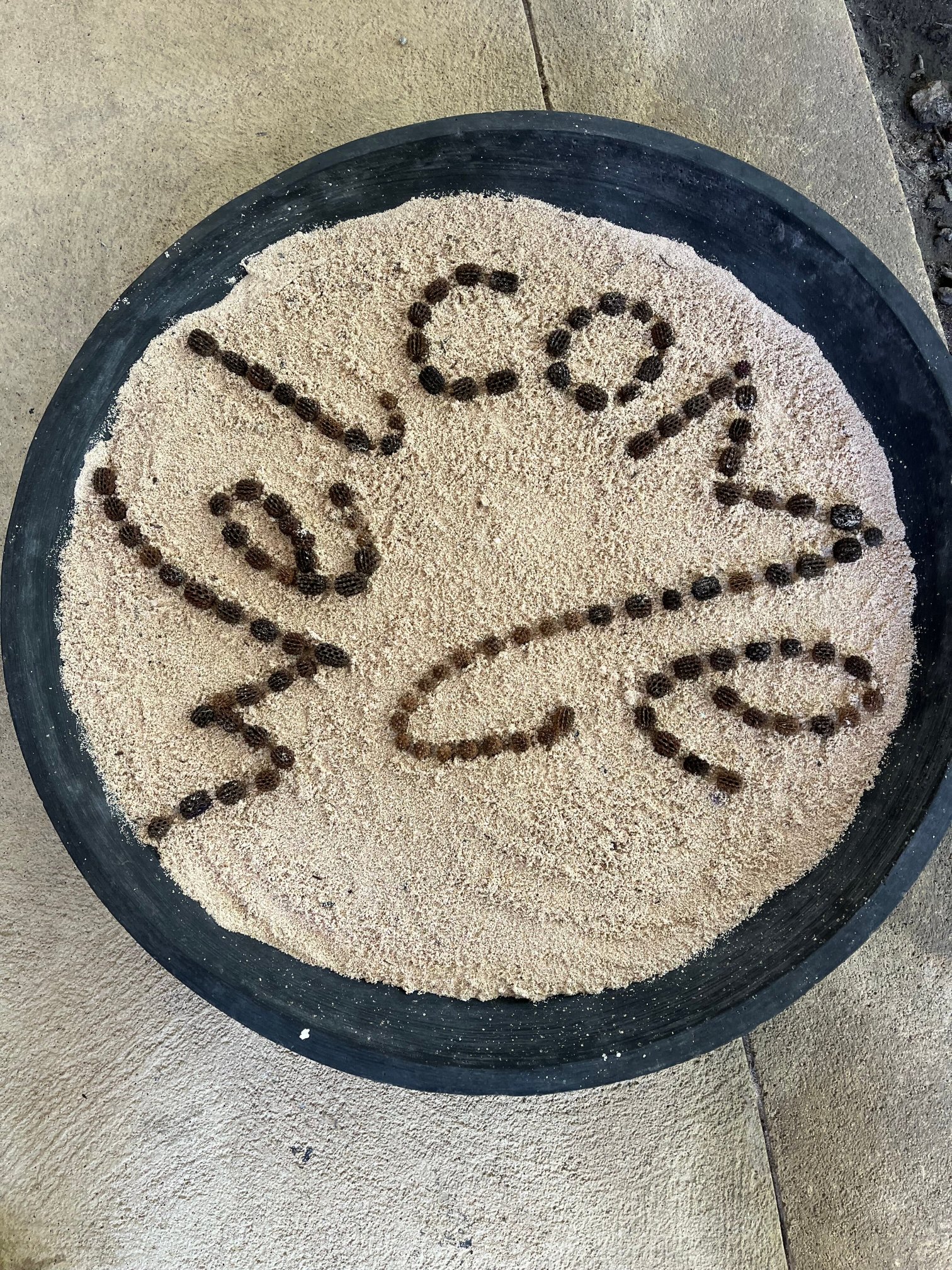 态度快乐周五-官方