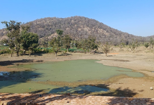 Sariska National Park-Sariska必去景点