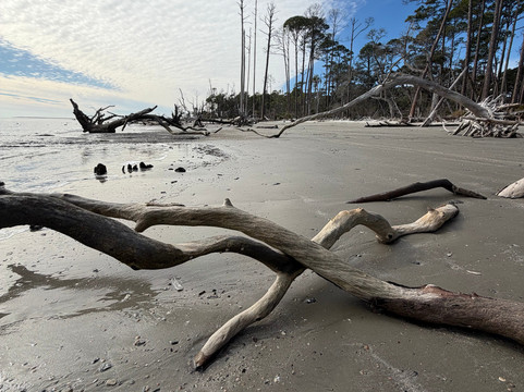St. Phillips Island Ferry-Saint Helena Island必去景点
