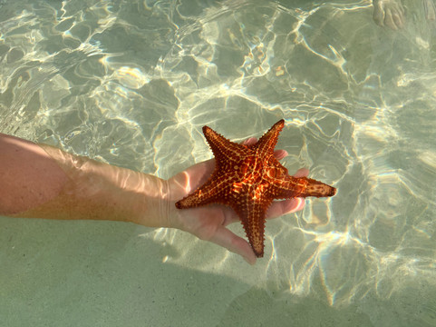 Next Level Charters Cayman-Camana Bay必去景点