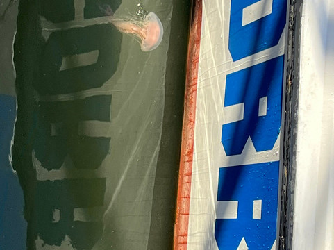 波多黎各德埃斯特角城-埃斯特角城必去景点