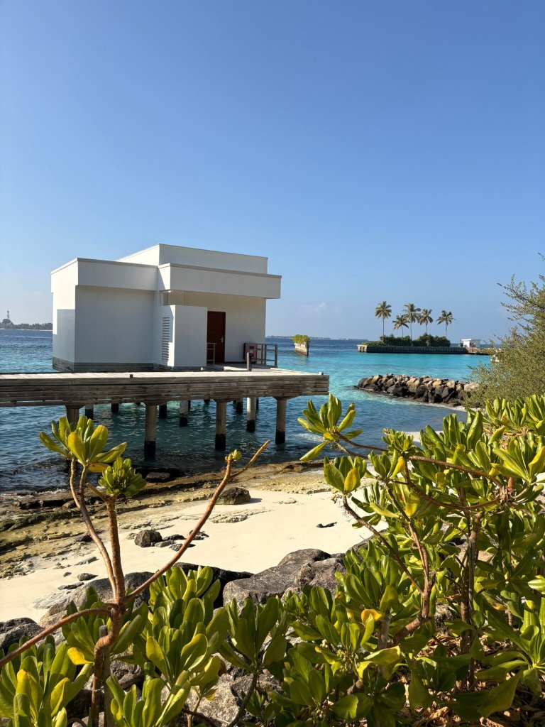 Niva Dhigali Maldives-官方