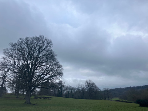 Scotney Castle Estate Walking Trails-Lamberhurst必去景点