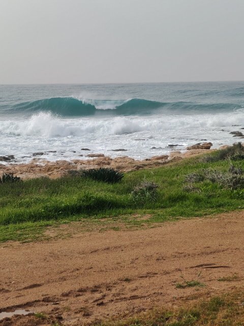 Constantinou Bros Αthena Royal Beach Hotel-官方