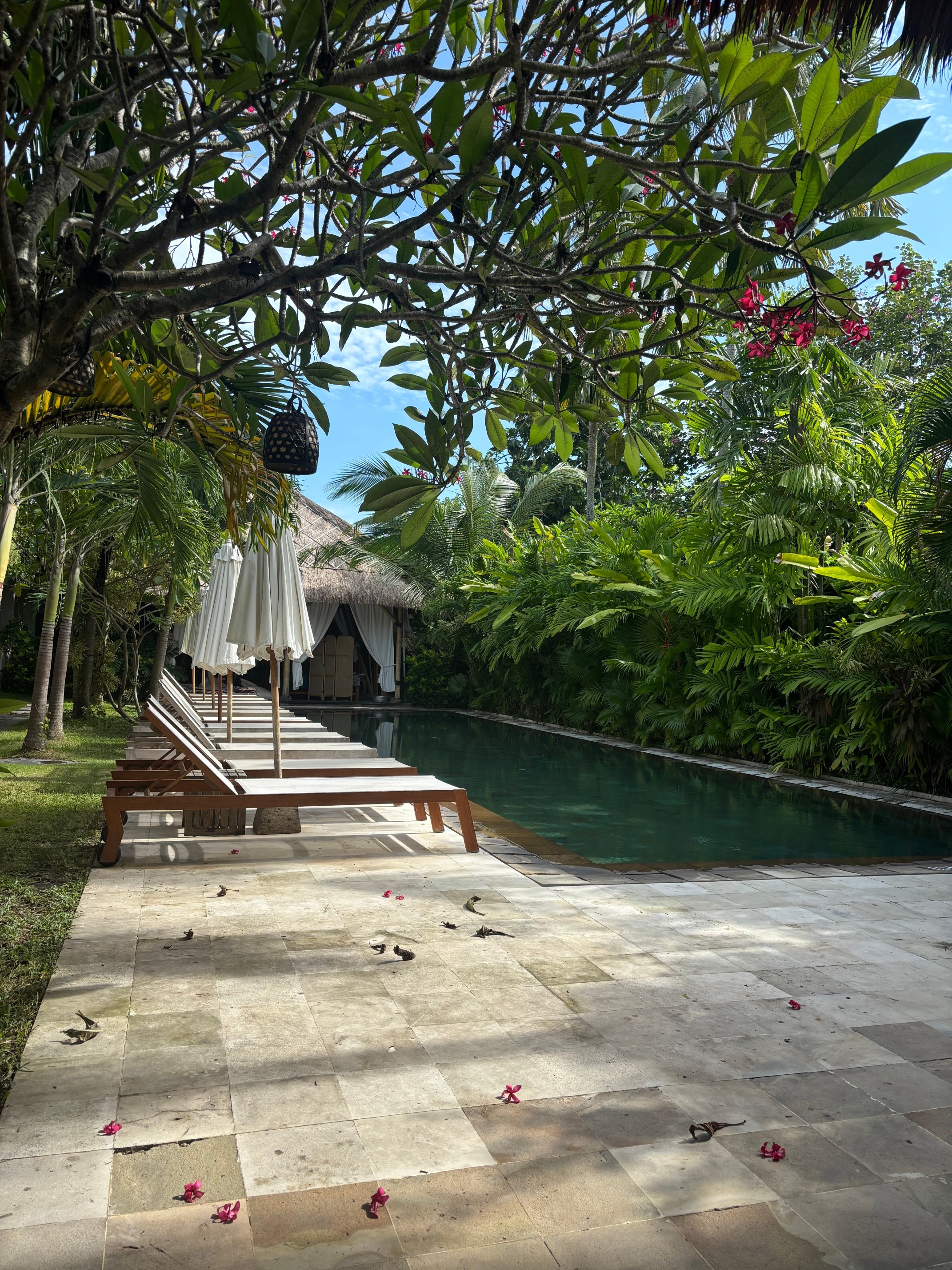 The Open House Bali-官方