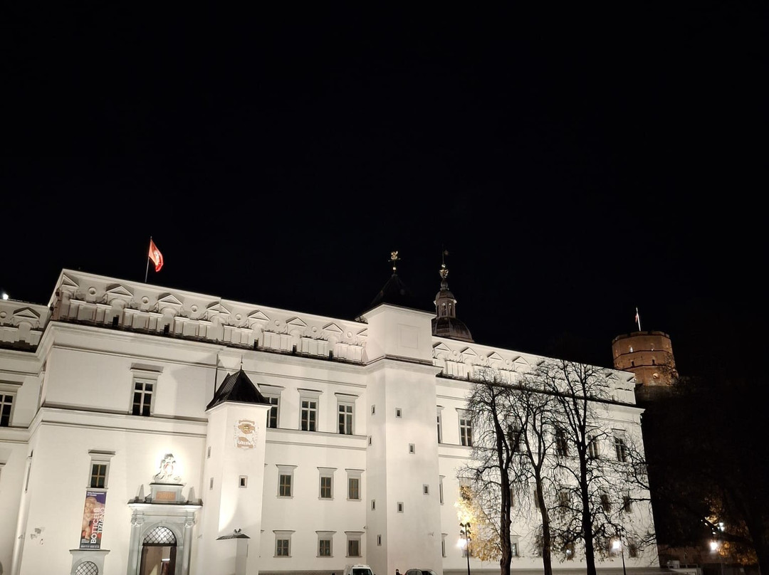 Vilnius Cathedral Square-维尔纽斯必去景点