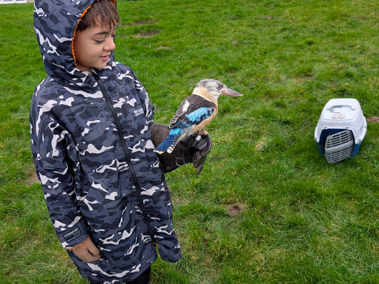 The British Bird of Prey Centre-喀麦登必去景点