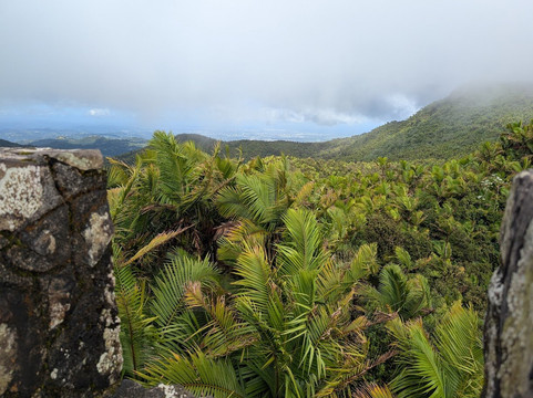 Torre Britton-云盖国家森林公园必去景点