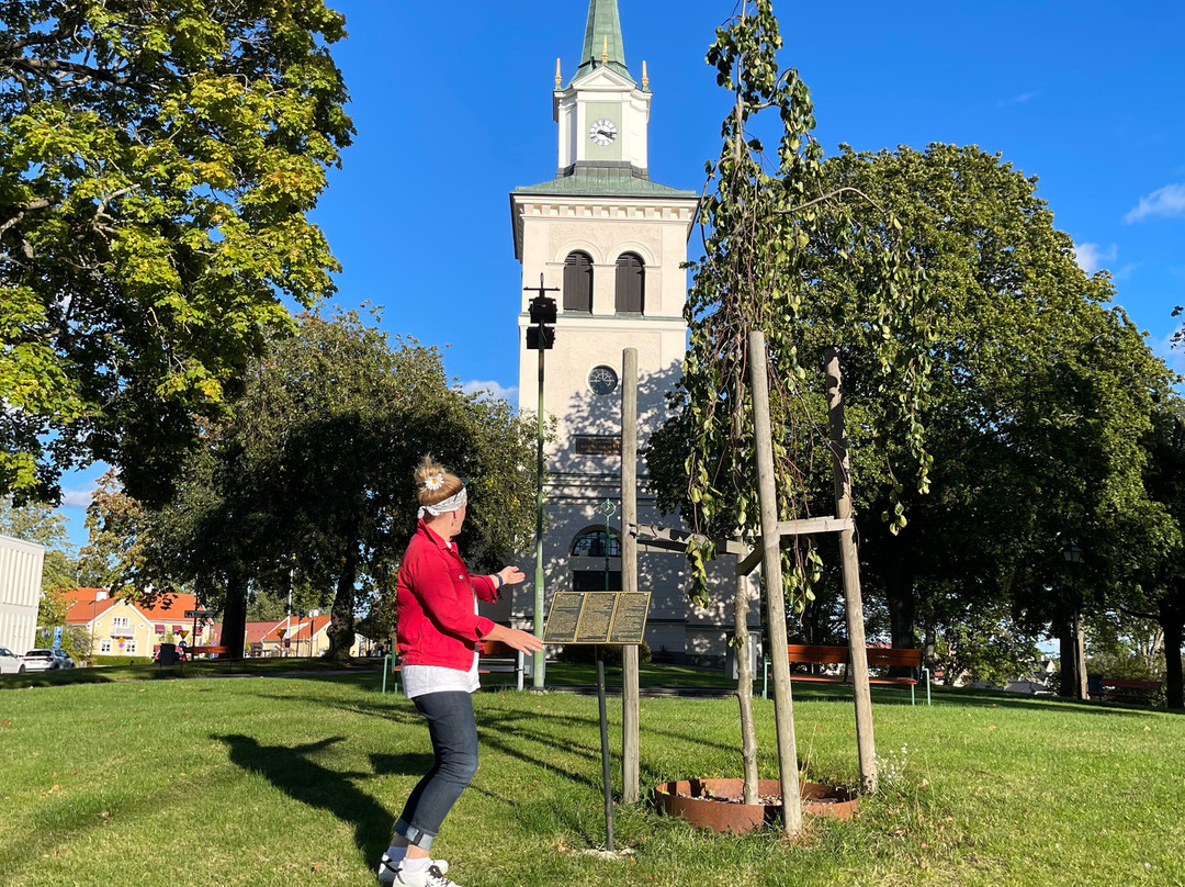 Vimmerby Stadtführung-Vimmerby必去景点