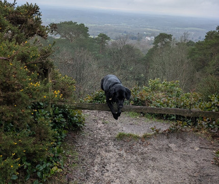Leith Hill-多肯必去景点