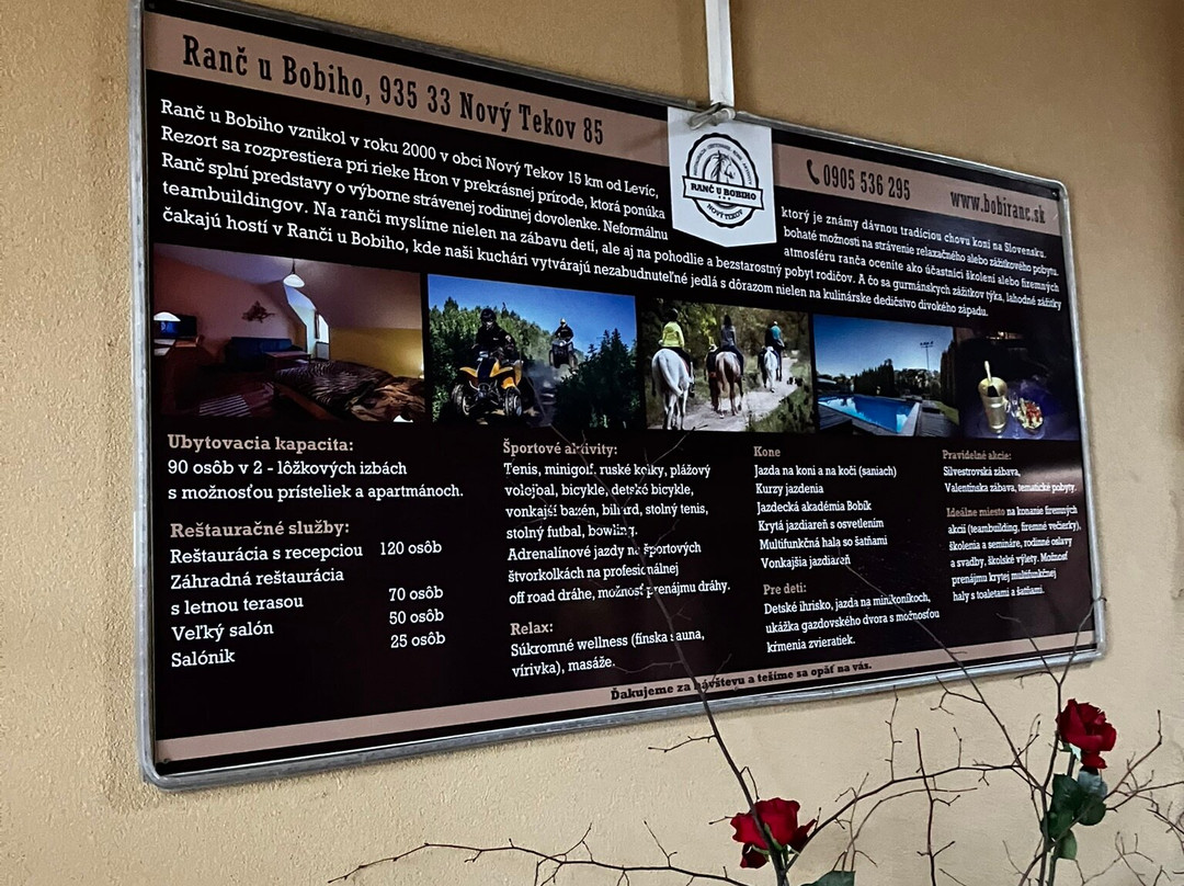 Ranc u Bobiho主图