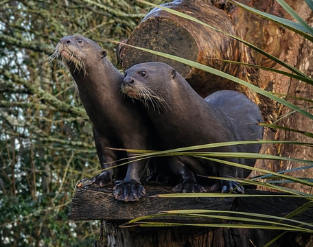 Jersey Zoo-Trinity必去景点