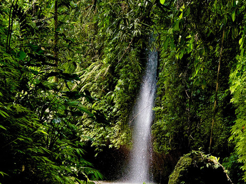 Segare Bali Tour - Private Day Tours-登巴萨必去景点