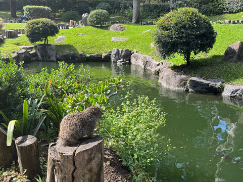 Bosque Los Colomos-瓜达拉哈拉必去景点