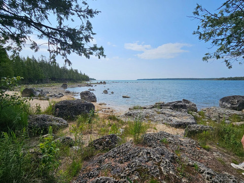 Bush Bay Trail Narnia Trail-Cedarville必去景点