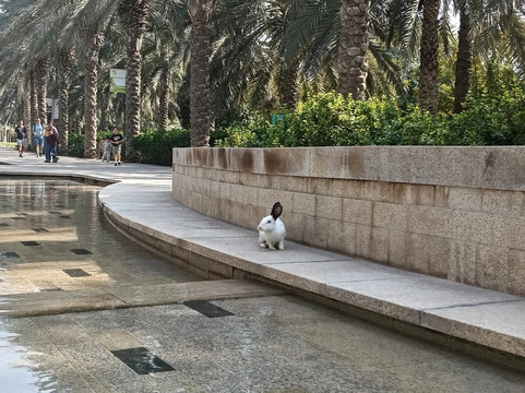 穆什里夫中央公园-阿布扎比必去景点