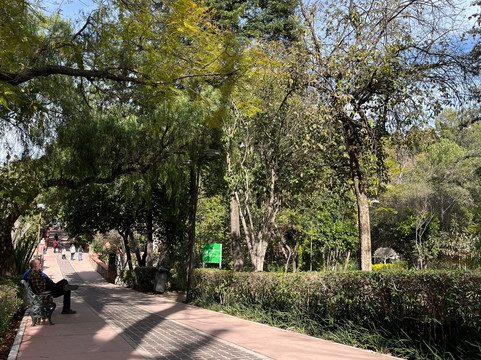 杰苏亚雷斯公园-圣米格尔护城必去景点