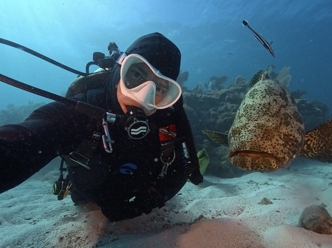 Captain Slate's SCUBA Adventures-Tavernier必去景点