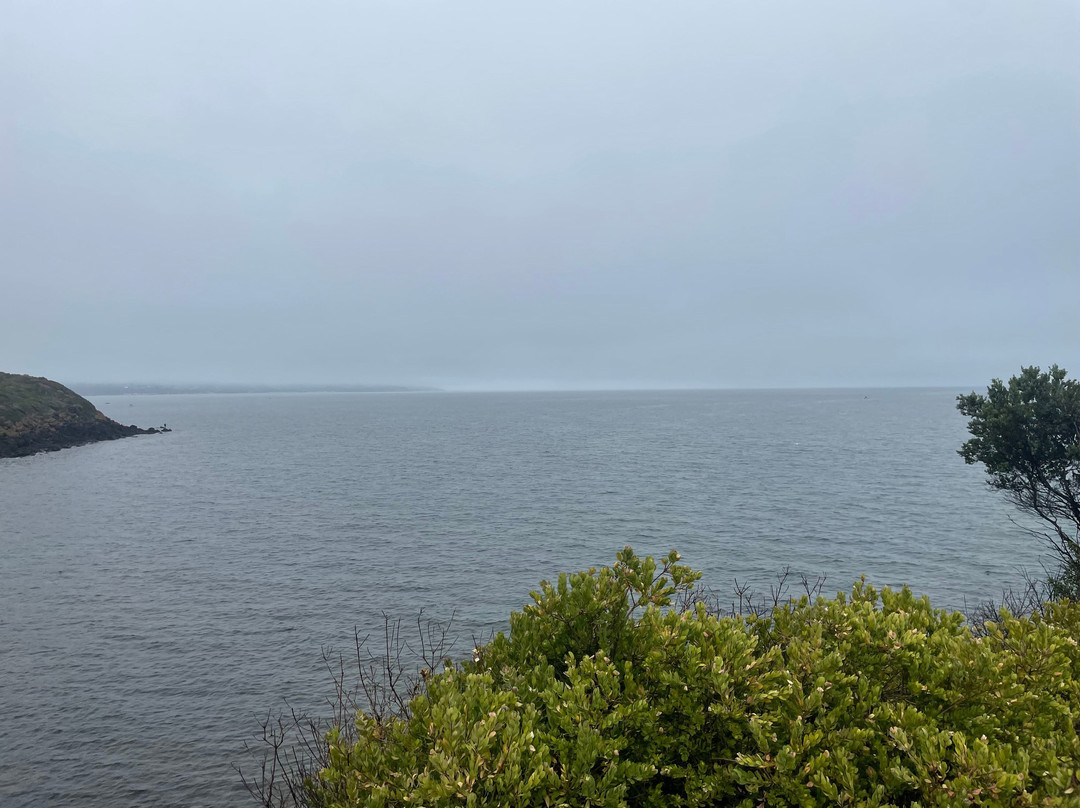 Linley Point-莫宁顿必去景点