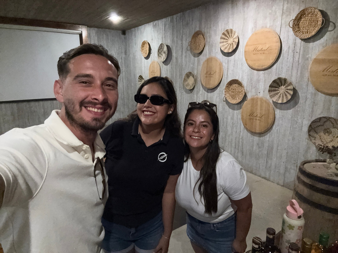 Destileria Pisco Mistral-Pisco Elqui必去景点