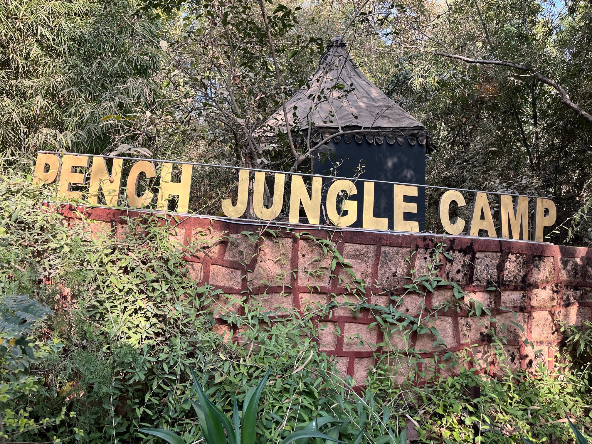 Pench Jungle Camp - Jungle Camps India-官方