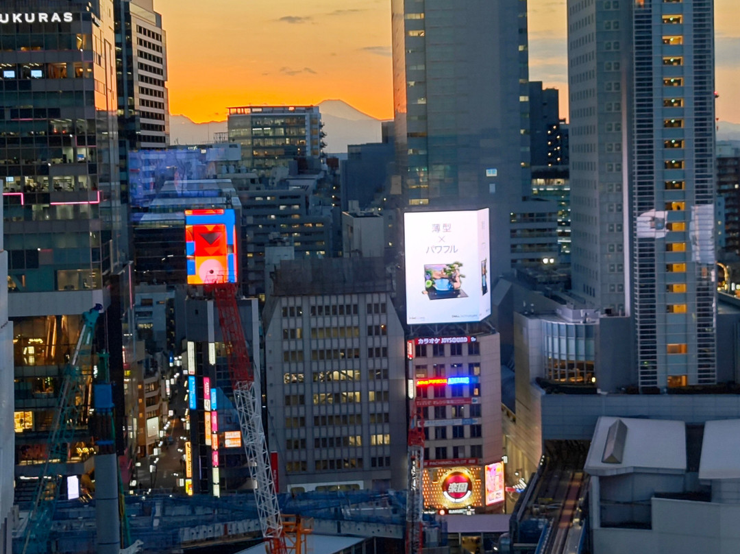 涩谷 Hikarie-涩谷区必去景点