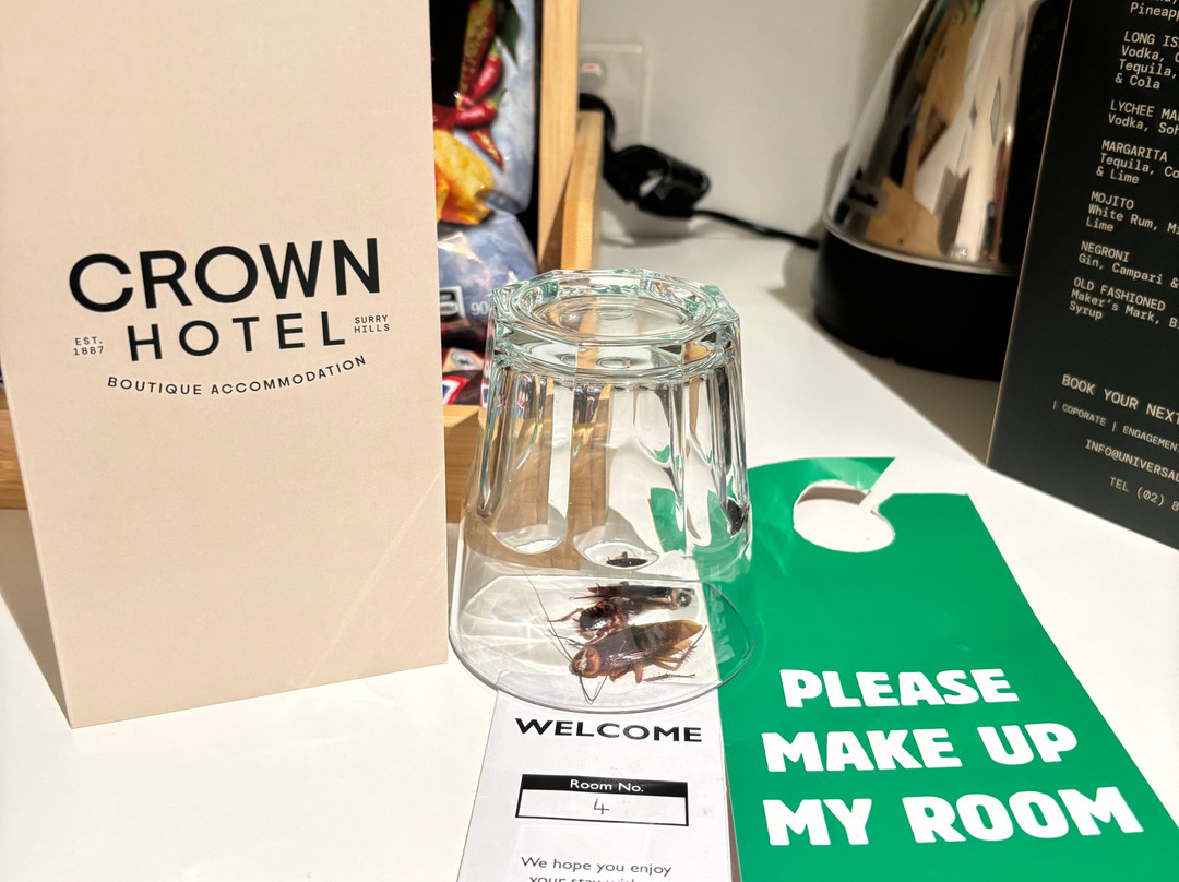 舞美皇冠酒店主图