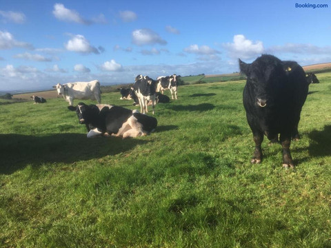 North Hollacombe Farm主图