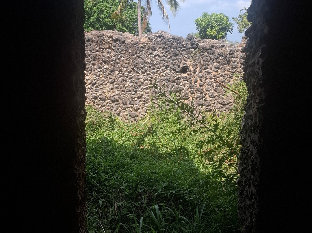 Safari Shwari Mafia Island-Utende必去景点